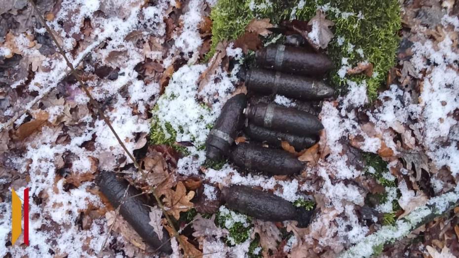 Житель воронежского поселка Курбатово нашел в лесу 9 артиллерийских снарядов времен ВОВ
