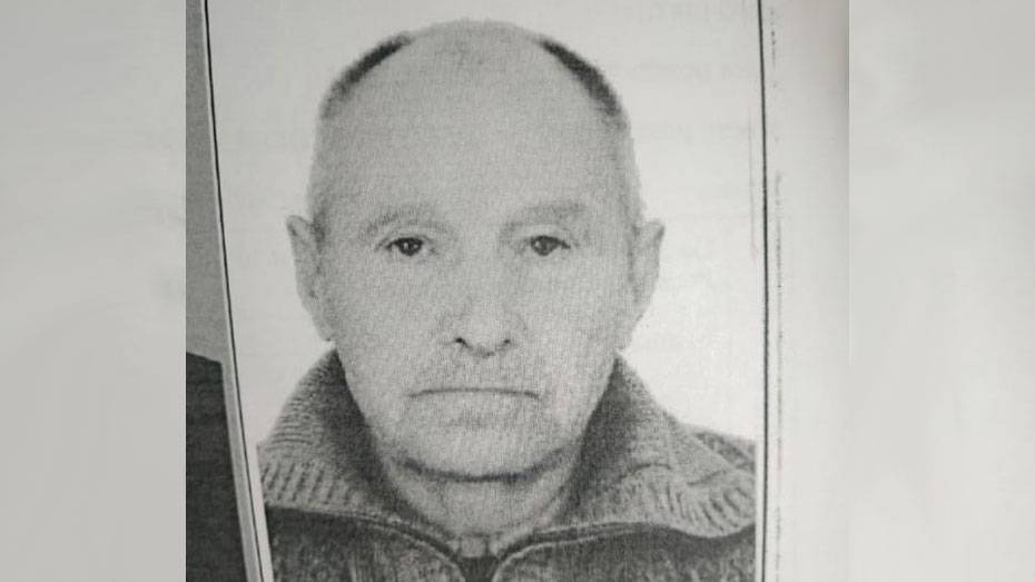 Родственники попросили помощи в поисках пропавшего в Верхнем Мамоне 76-летнего мужчины