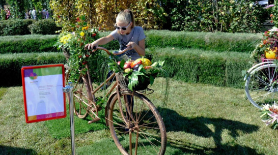 Выставка «Воронеж – город-сад 2015» соберет ландшафтных дизайнеров из стран СНГ