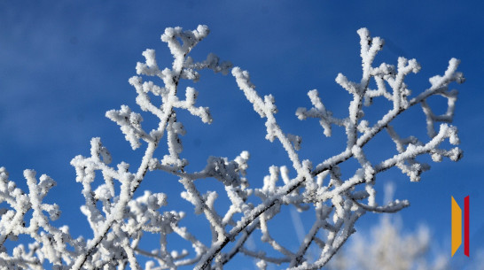 Январь в Воронеже будет холодным и снежным