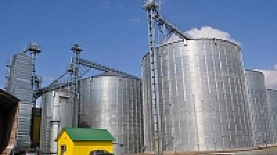 Black Earth Farming Ltd продала 27,7 тысяч гектаров земли в Воронежской области за 21,1 млн долларов 