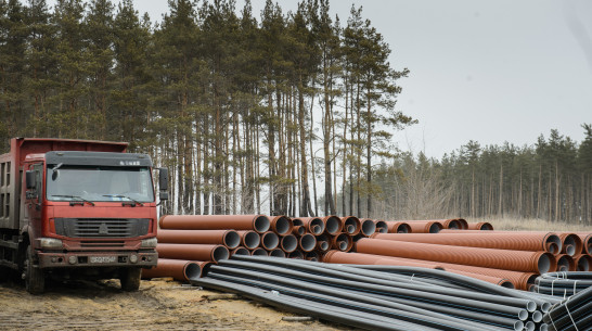 Строительство таможенного терминала под Воронежем начнется летом