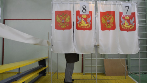 Воронежец выдвинулся на выборы в Госдуму от «Метагалактической конфедерации»