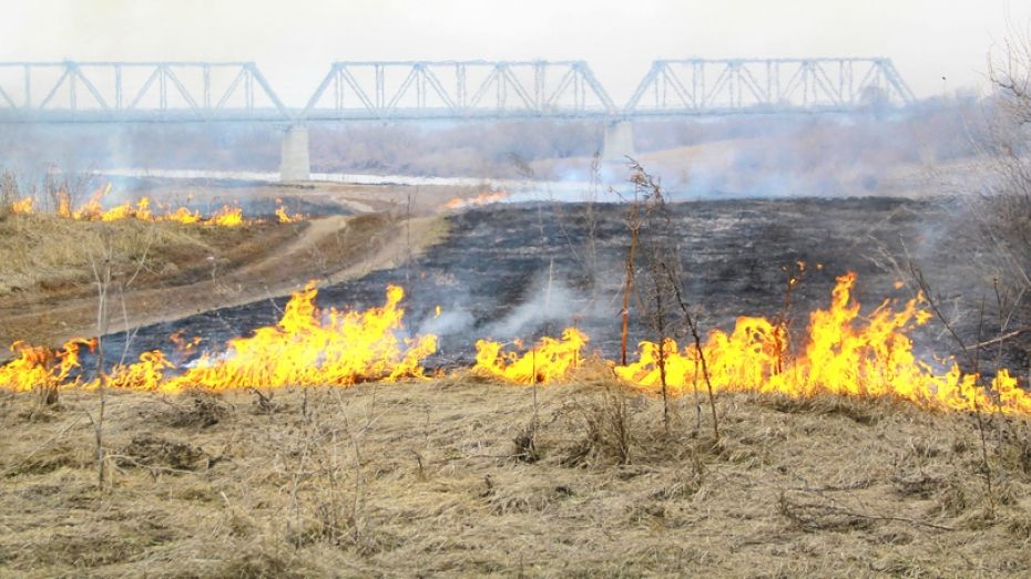 В Семилукском районе начались ландшафтные пожары