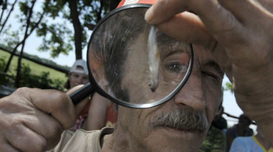 В Рамонском районе опасно есть рыбу