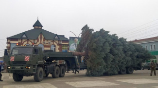 Новогоднюю елку привезли на военном трале в Острогожск Воронежской области