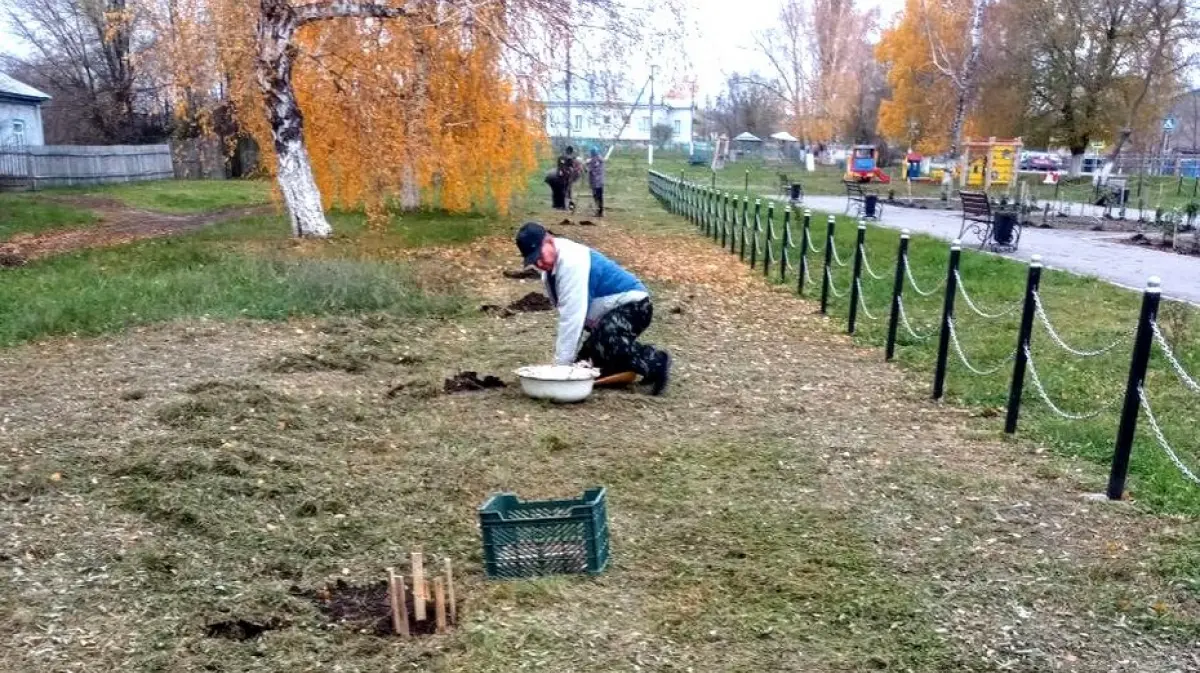 Почетный гражданин Грибановского района Владимир Верещагин подарил саженцы  родному селу