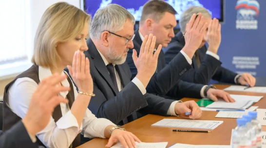 Федеральные партийные проекты в Воронежской области будут курировать определенные члены президиума политсовета