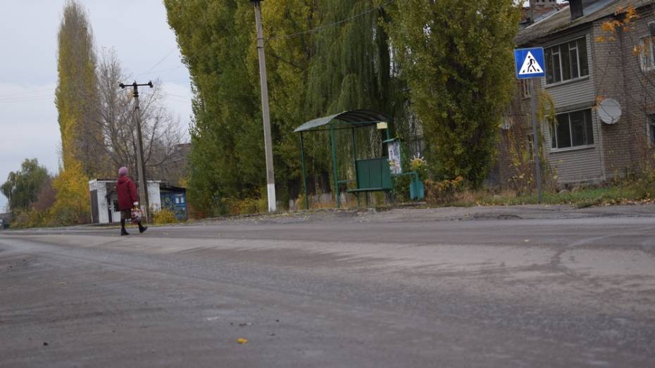 Борисоглебские полицейские начали поиски сбившего женщину-пешехода водителя