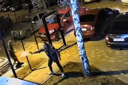 Массовая драка со стрельбой в воронежском ЖК попала на видео