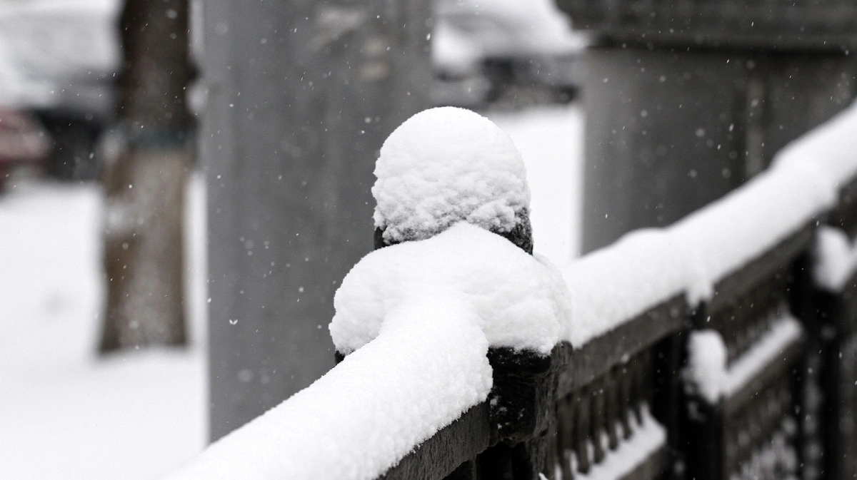 Прощание со снегом. Мокрый снег фото. Снег в Воронеже. Мокрый снег день девушка. Весенний гололед и туман.