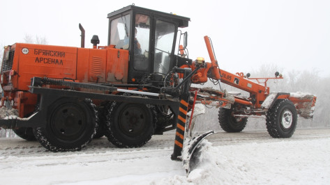 В Воронежской области дорожники бросили на ликвидацию снегопада 99 машин