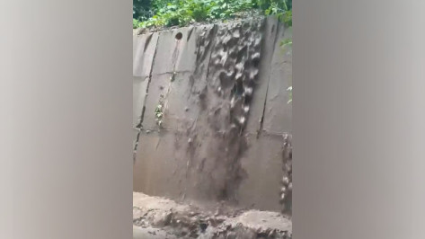 В Воронеже после дождя на улице Володарского и у Петровской набережной затапливает дома