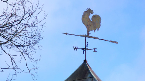 В Воронежской области продлили предупреждение о сильном ветре