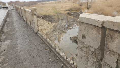 Бобровчане пожаловались на шаткость моста через реку Битюг