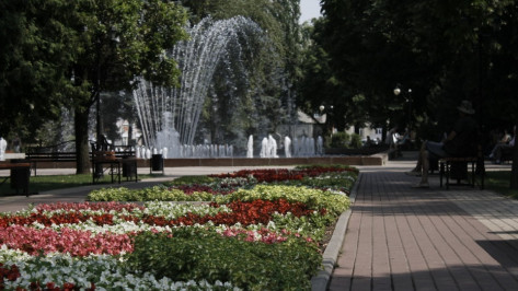 Воронежские власти сэкономят 2,5 млн рублей на уходе за растениями в Кольцовском сквере