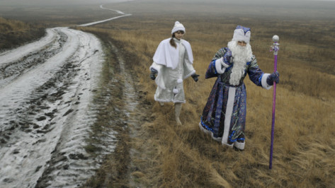 Метеорологи рассказали о погоде в Воронеже на Новый год