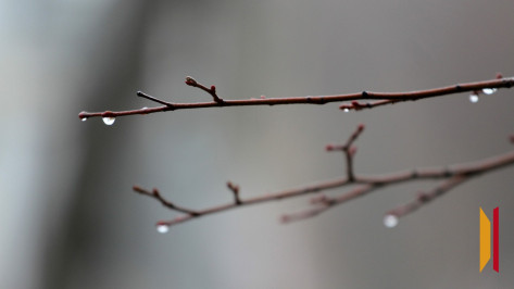 Синоптики рассказали, дойдет ли до Воронежа мокрый снег, который прогнозируют в Москве 20 апреля