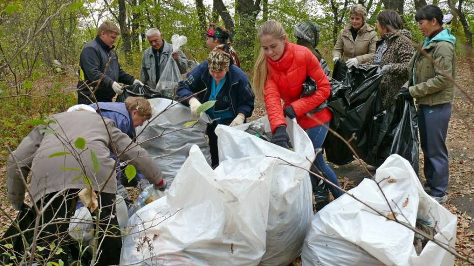 В Грибановском районе на берегу Савалы собрали 120 мешков мусора