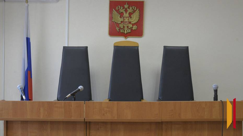 В Воронежской области 21-летнюю девушку приговорили к условному сроку за мошенничество с соцвыплатами