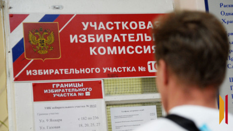 ВЫБОРЫ-2025: на избирательных участках воронежцам будут помогать волонтеры