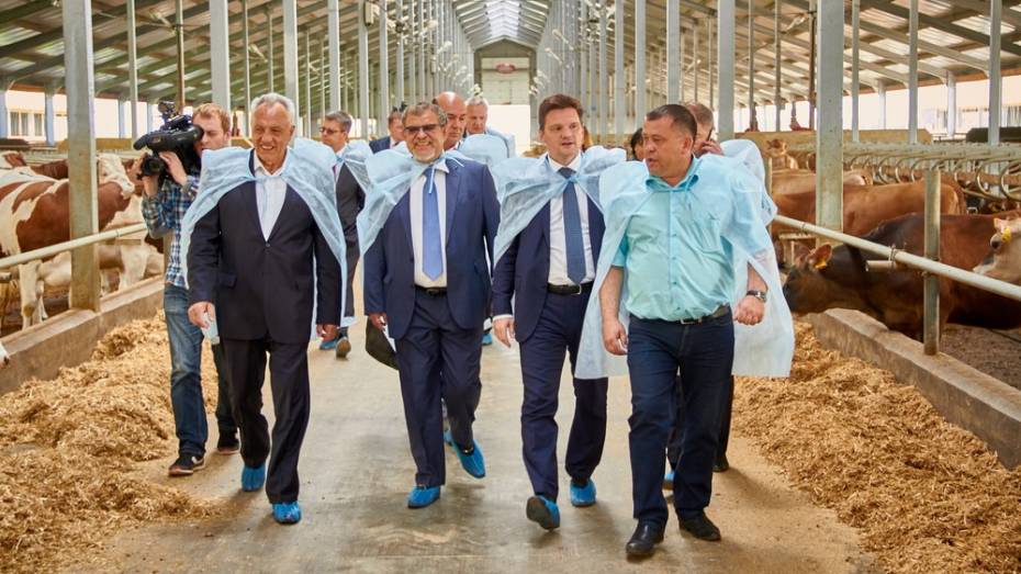 Молочный комплекс аннинского села наладит производство 100 т молока в сутки