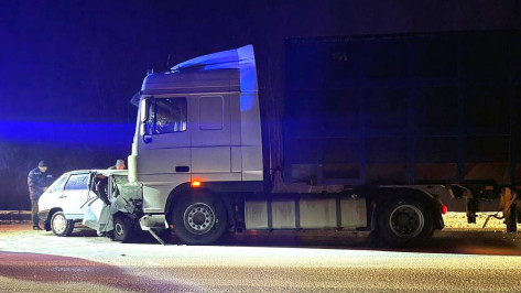Пенсионер погиб в ДТП с грузовиком на трассе в Воронежской области