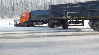 Мужчина и пожилая женщина погибли в ДТП под Воронежем