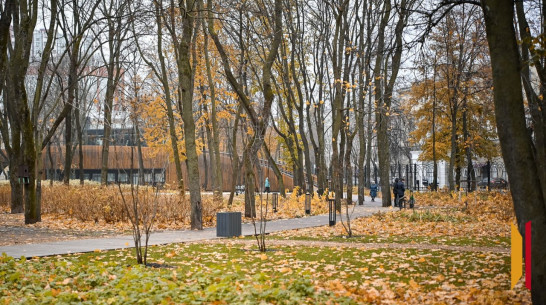 Воронежцев ожидают теплые и пасмурные выходные