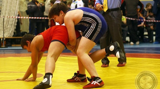 Турнир памяти Германа Разгоняева по вольной борьбе пройдет в Воронеже 29 апреля