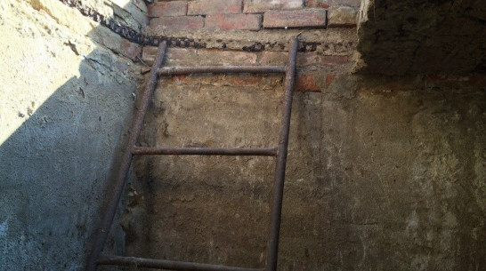 Старушку в Воронежской области в ссоре задушила ее 24-летняя внучка