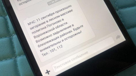 Воронежское МЧС разослало SMS о возможном задымлении из-за пожара на «Погоново»