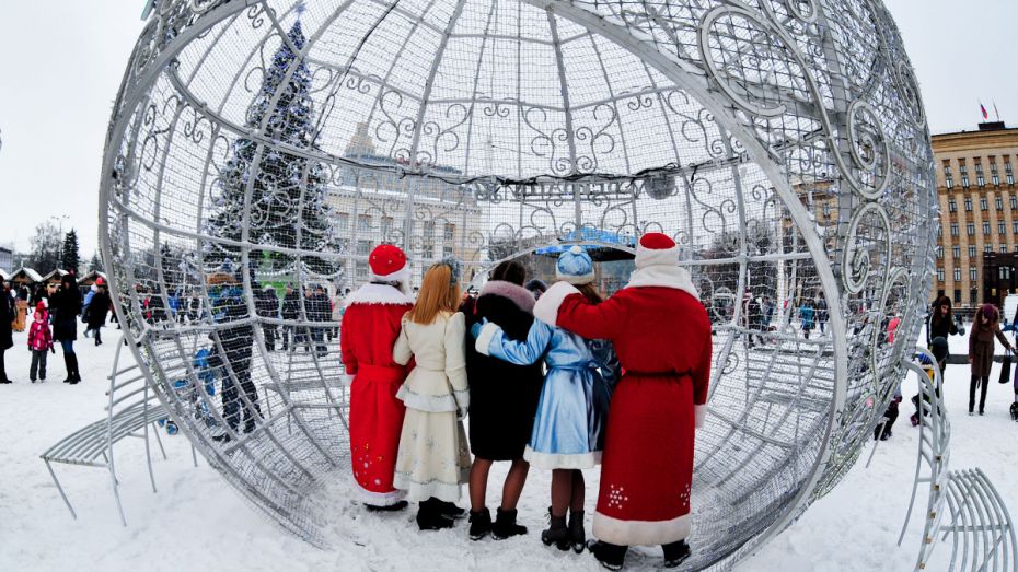 Новогодние выходные в Воронеже будут морозными