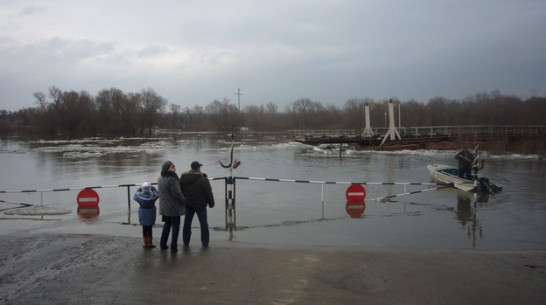Разлившийся Дон изолировал несколько сел Острогожского района
