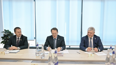 Губернатор Воронежской области: в 2026 году финансирование проектов АНО «Образ Будущего» увеличится