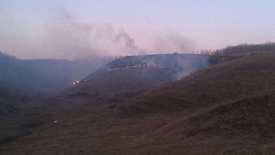 В Хохольском районе 10 ландшафтных пожаров произошло 31 марта 