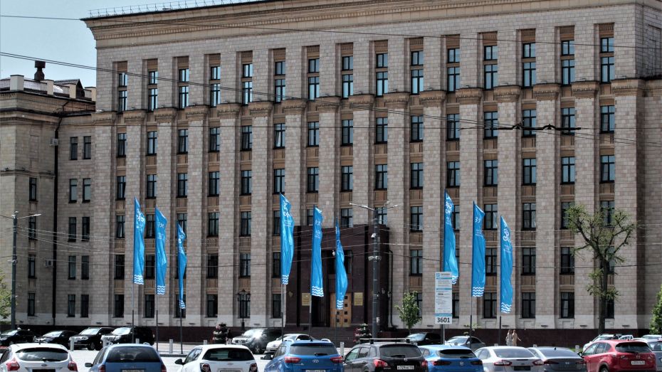 Воронежский департамент образования избавят от полномочий в сфере молодежной политики