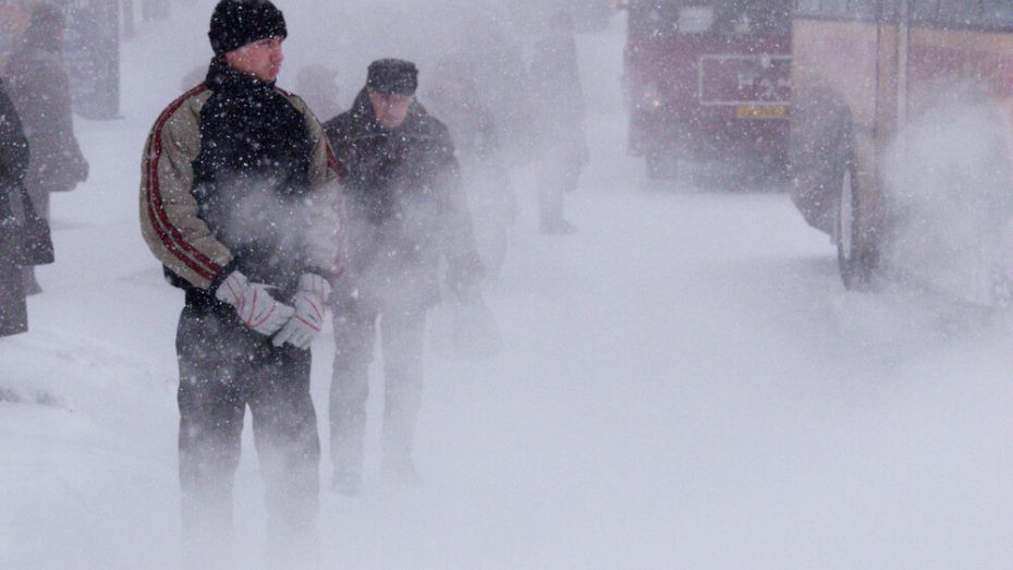 Штормовое предупреждение из-за снегопада объявили в Воронежской области