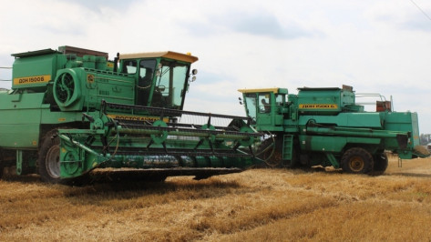 Аграрии Воронежской области поставили рекорд по сбору зерна
