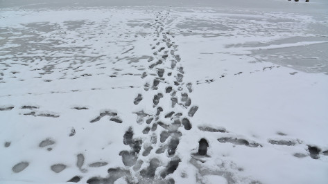 Воронежцев предупредили о появлении первого льда на водохранилище и реке Дон