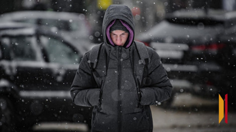 В Воронеже спрогнозировали первый снег