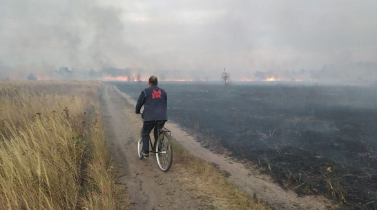 МЧС предупредило воронежцев о повышающихся рисках ландшафтных пожаров