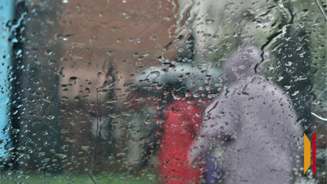 Дождливые выходные ожидают воронежцев