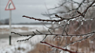 Воронежскую область накроет замерзающий дождь