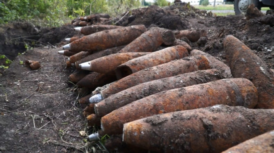 Взрывотехники уничтожили под Воронежем 3,5 т боеприпасов времен войны