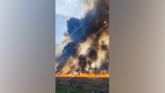 Масштабный ландшафтный пожар в Воронежской области сняли на видео
