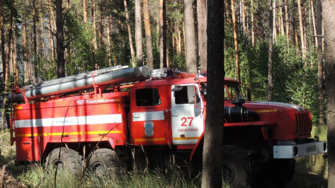 В Воронеже из-за жары ввели IV класс пожарной опасности