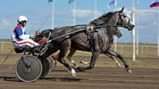 Под Воронежем прошли скачки на кубок губернатора