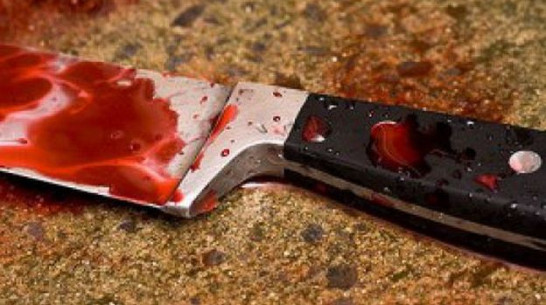 Предъявлено обвинение жителю Нижнедевицкого района, который в ходе застолья едва не убил знакомого