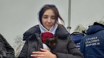 В Воронеже завершили операцию по спасению провалившегося в яму на виадуке котенка